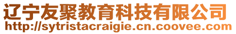 遼寧友聚教育科技有限公司