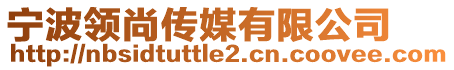 寧波領(lǐng)尚傳媒有限公司