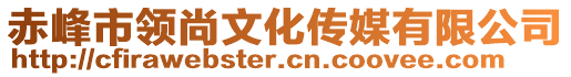 赤峰市領(lǐng)尚文化傳媒有限公司