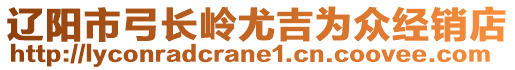 遼陽(yáng)市弓長(zhǎng)嶺尤吉為眾經(jīng)銷(xiāo)店