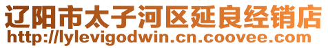 遼陽市太子河區(qū)延良經(jīng)銷店