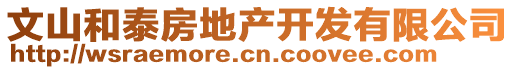 文山和泰房地產(chǎn)開發(fā)有限公司