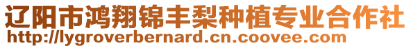 遼陽(yáng)市鴻翔錦豐梨種植專(zhuān)業(yè)合作社