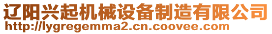 遼陽(yáng)興起機(jī)械設(shè)備制造有限公司