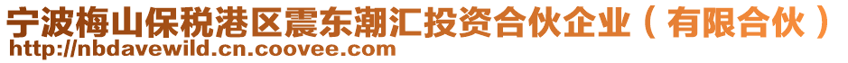 寧波梅山保稅港區(qū)震東潮匯投資合伙企業(yè)（有限合伙）