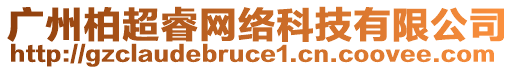 廣州柏超睿網(wǎng)絡(luò)科技有限公司