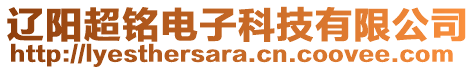 遼陽超銘電子科技有限公司