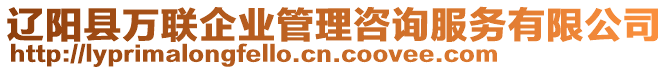 遼陽縣萬聯(lián)企業(yè)管理咨詢服務(wù)有限公司