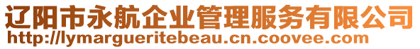 遼陽市永航企業(yè)管理服務有限公司