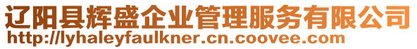 遼陽(yáng)縣輝盛企業(yè)管理服務(wù)有限公司