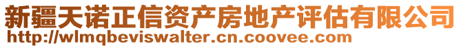 新疆天諾正信資產(chǎn)房地產(chǎn)評(píng)估有限公司