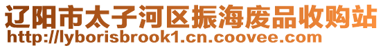 遼陽市太子河區(qū)振海廢品收購站