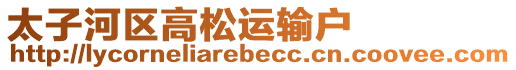 太子河區高松運輸戶