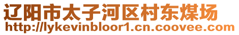 遼陽市太子河區(qū)村東煤場