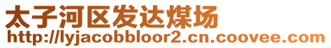 太子河區(qū)發(fā)達(dá)煤場(chǎng)