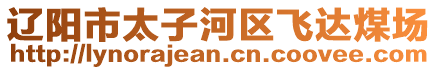 遼陽市太子河區(qū)飛達(dá)煤場(chǎng)