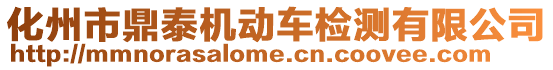 化州市鼎泰機動車檢測有限公司