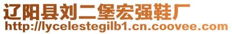 遼陽縣劉二堡宏強(qiáng)鞋廠