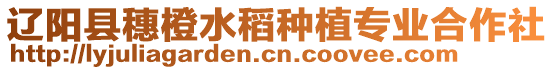 遼陽(yáng)縣穗橙水稻種植專(zhuān)業(yè)合作社