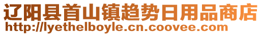 遼陽縣首山鎮(zhèn)趨勢日用品商店