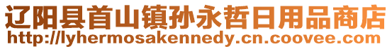 遼陽縣首山鎮孫永哲日用品商店