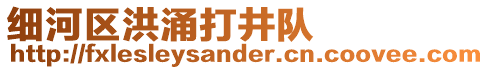 細河區(qū)洪涌打井隊