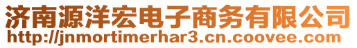 濟南源洋宏電子商務有限公司