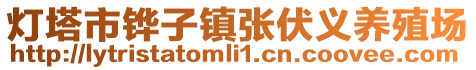燈塔市鏵子鎮張伏義養殖場