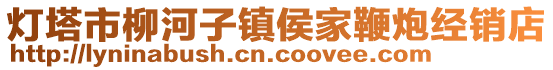 燈塔市柳河子鎮侯家鞭炮經銷店