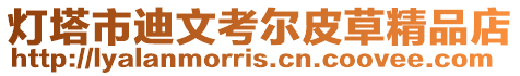 燈塔市迪文考爾皮草精品店