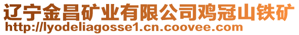 遼寧金昌礦業(yè)有限公司雞冠山鐵礦