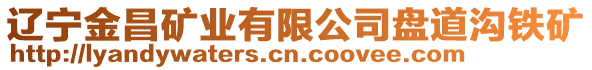 遼寧金昌礦業(yè)有限公司盤道溝鐵礦