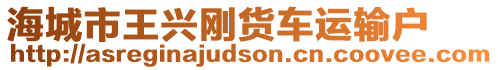 海城市王興剛貨車(chē)運(yùn)輸戶(hù)