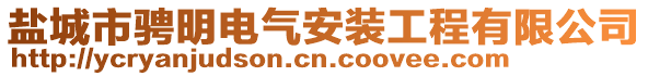 鹽城市騁明電氣安裝工程有限公司