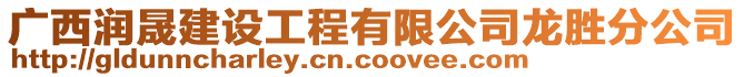 廣西潤晟建設(shè)工程有限公司龍勝分公司