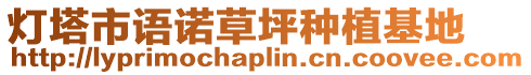 燈塔市語諾草坪種植基地