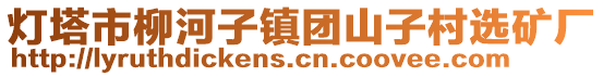 燈塔市柳河子鎮(zhèn)團(tuán)山子村選礦廠