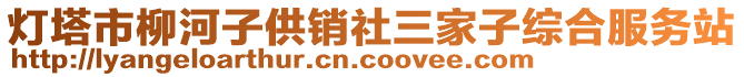 燈塔市柳河子供銷社三家子綜合服務站