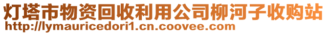 燈塔市物資回收利用公司柳河子收購(gòu)站