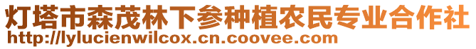 燈塔市森茂林下參種植農(nóng)民專業(yè)合作社