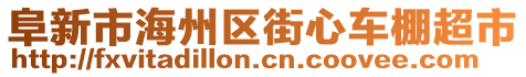 阜新市海州區(qū)街心車棚超市