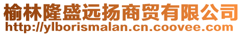 榆林隆盛遠(yuǎn)揚(yáng)商貿(mào)有限公司