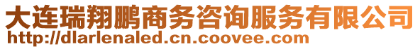 大連瑞翔鵬商務(wù)咨詢服務(wù)有限公司