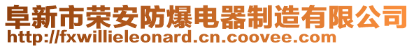 阜新市榮安防爆電器制造有限公司