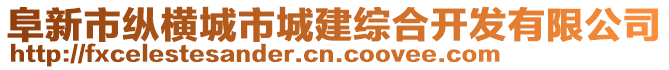 阜新市縱橫城市城建綜合開發(fā)有限公司