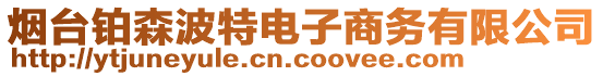 煙臺(tái)鉑森波特電子商務(wù)有限公司