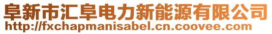 阜新市匯阜電力新能源有限公司