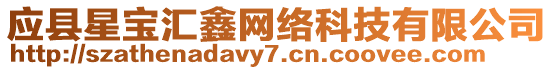 應(yīng)縣星寶匯鑫網(wǎng)絡(luò)科技有限公司