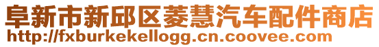 阜新市新邱區(qū)菱慧汽車配件商店