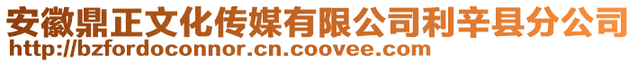 安徽鼎正文化傳媒有限公司利辛縣分公司